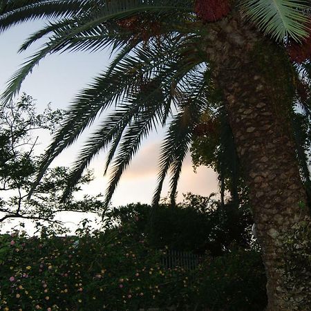 Roma Eur Bed & Breakfast Dış mekan fotoğraf