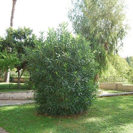 Roma Eur Bed & Breakfast Dış mekan fotoğraf
