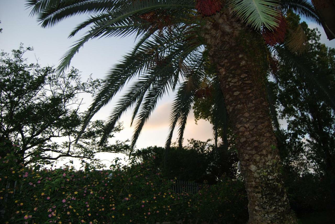 Roma Eur Bed & Breakfast Dış mekan fotoğraf