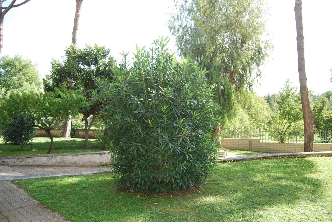 Roma Eur Bed & Breakfast Dış mekan fotoğraf
